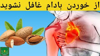 خواص بادام: اگر هر روز بادام بخوریم چه اتفاقی در بدن می افتد