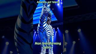 Man Turns Zebra into Sensational Act on America's Got Talent! 🦓🌟 #ViralTransformation #ZebraMagic