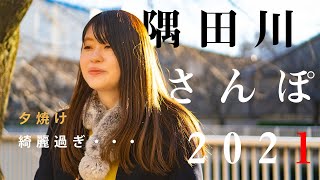 【cinematic vlog】【シネマティック】夕日が綺麗な隅田川