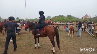 Jelang pacuan kuda Trusmi Cirebon 2024..Don't miss it 🏁🏇🐎