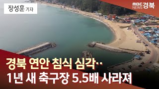 [R]경북 연안 침식 심각‥1년 새 축구장 5.5배 사라져 / 안동MBC