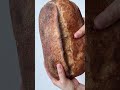 날더운데 과발효시켜서 미아내 sourdough homebaking homebaker 홈베이킹 베린이 사워도우 발효빵