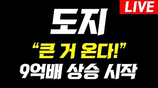 [ 도지코인 ]📢긴급속보 9억배 상승 시작! 오늘 영상 꼭 보셔야합니다 #도지코인전망 #도지코인이슈 #도지코인실시간 #도지코인분석 #도지전망 #도지분석 #도지코인이슈