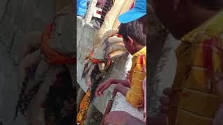 ମା ଙ୍କୁ କଣ ଏମିତି ବିସର୍ଜନ କରାଯାଏ #viral#youtube#short#video