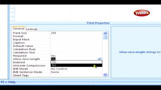 Table validation Rules || Microsoft Access Tutorial for Beginners || ACCESS Presentation