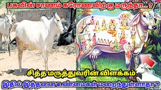 பசுவின் சாணம் கோரோனோவிற்கு மருந்தா ? சித்த மருத்துவர் விளக்கம் ! இதில் இத்தனை உண்மைகள் மறைந்துள்ளதா!