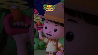 BEWARE OF THE PORCUPINE QUILLS! 🦔 | Leo the Wildlife Ranger | #shorts #education #kids