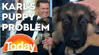 Karl has a Puppy Problem | TODAY Show Australia