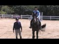 Training A Young or Green Horse Over Jumps