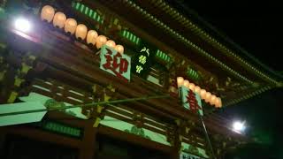 【鶴岡八幡宮】2020.1.1  午後8時頃 初詣