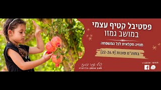 פסטיבל סוכות בקטיף עצמי בגמזו