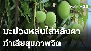 สาวร้องมะม่วงหล่นใส่หลังคาทำเสียสุขภาพจิต | 24-04-66 | ข่าวเย็นไทยรัฐ