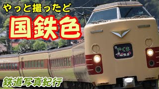 【JR伯備線】 国鉄色の特急「やくも」を撮る 【381系】