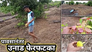 कोकणात पहिल्या पावसानंतरचे निसर्गरम्य वातावरण || kokan ||