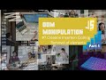 DOM Manipulation #7 Part 1 | Creating, Inserting, Cloning, Removing Elements from DOM | Codefreak