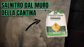 COME ESTRARRE E PURIFICARE IL NITRATO DI POTASSIO DAL MURO DI UNA CANTINA