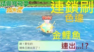 【NS 精靈寶可夢 Pokemon Let's Go】連鎖刷色違閃光鯉魚王 連出黃金鯉魚!? 精靈寶可夢 神奇寶貝 Pokemon Let's Go 伊布/皮卡丘 NS Nintendo Switch