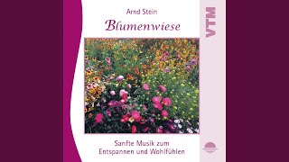 Blumenwiese