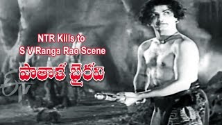 Patala Bhairavi Telugu Movie | NTR Kills to S V Ranga Rao Scene | NTR | K Malathi | ETV Cinema