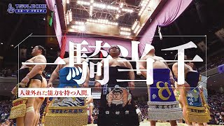 【公式】日本大相撲トーナメント 第四十七回大会