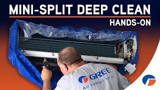 BONUS TUTORIAL! Deep clean a mini-split easily without removal!
