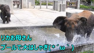 【お母さんだって遊びたい】砥愛ちゃんより夢中になってプール遊びをするリカさん。とべ動物園にて。