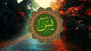 Beautiful Recitation Of Surah Yasin Sarif : Tilawat E یٰسٓۚ