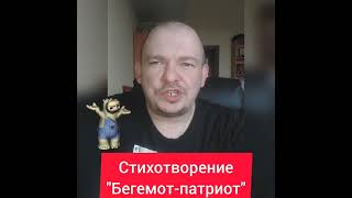 Бегемот-патриот 🔥 Поэт Максим Федин, стихи, война Украина Россия