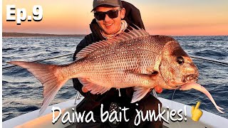 BAGGED OUT!! - Daiwa Bait Junkies