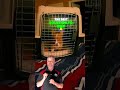 never do this dog crate mistake dogcratetraining