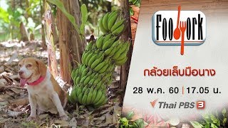 Foodwork : กล้วยเล็บมือนาง (28 พ.ค. 60)