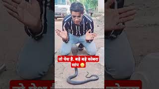 तो पेश है. बड़े बड़े कोबरा सांप😳 #shorts #snake #cobras #cobrarescue #venomouscobra #cobrasanke #funny