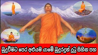 ගෞතම බුදුරජාණන් වහන්සේ බුදු වීමට පෙර දුටු  සිහින පහ..