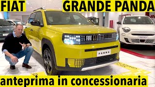 FIAT GRANDE PANDA preview: arrived at the dealership, electric or hybrid in less than 4 meters