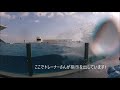 鴨川シーワールド２０１８　シャチパフォーマンス１０１　goproで凄いシャチを撮ってみた　killer whale show