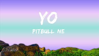 Pitbull, Ne-Yo - Time Of Our Lives (Lyrics) |15min