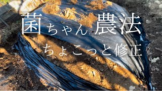 菌ちゃん農法、ちょこっと修正！黒マルチがめくれ、土が凍った！！！