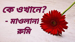 কে ওখানে? - মাওলানা জালাল উদ্দিন রুমির কবিতা । Rumi Poetry in Bangla । Rumi Poem Recitation । Sufism