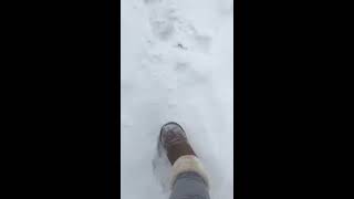 Schnee Deutschland 08.02.2021 #Shorts ( Germany ) #schneesturmdeutschland #salzgitter