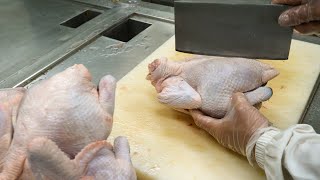 Chicken Essence Making, Steamed Egg with Chicken Essence / 滴雞精製作, 滴雞精茶碗蒸 - Taiwanese Food