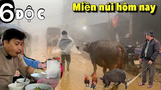 Khám Phá Phiên Chợ Sín Chéng - Đậm Đà Sắc Màu Văn Hóa: Đồ Thổ Cẩm, Lợn Đen, và Thiên Đường Ẩm Thực!