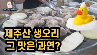 제주산 생오리 과연 그 맛은 ? 제주살이 첫날 맛집 투어 Jeju raw duck. How does it taste? 済州産生鴨、果たしてその味は？