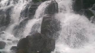 MANNEERA FALLS 17 JUNE 2018 D