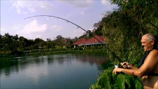 Kev Shore lands and a 250lb arapaima!