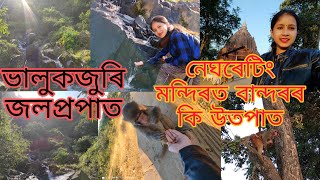 ভালুকজুৰি জলপ্ৰপাত || নেঘৰেটিং মন্দিৰত বান্দৰৰ কি উৎপাত || Part 2 || Jamini Phukon