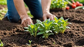 How To Grow An Endless Supply Of Vegetables In Your Backyard