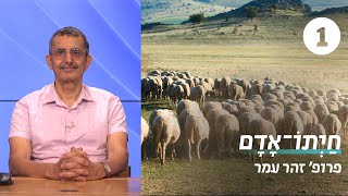 חיות המשק במקרא | שיעור 1 - מתנת יעקב לעשו | פרופ' זהר עמר