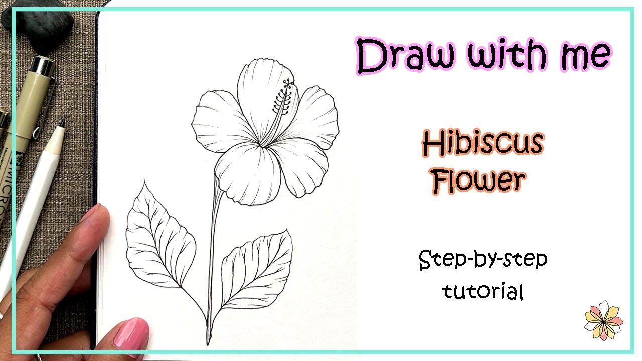 How To Draw A Hibiscus Flower Step By Step Flower Drawing Tutorial