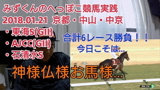 【競馬:実践】2018.01.21 頼む！的中してください。みずくんの競馬実践！AJCC・東海S