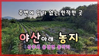 상주시 공검면 동막리(매매12823)_야산아래 농지(밭) #상주시 #상주농지 #상주토지 #상주전답 #상주부동산 #상주시 #상주시부동산  #희망랜드 #희망공인중개사 #문경시